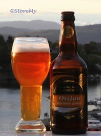 Cardinal lånt bilde av storemy